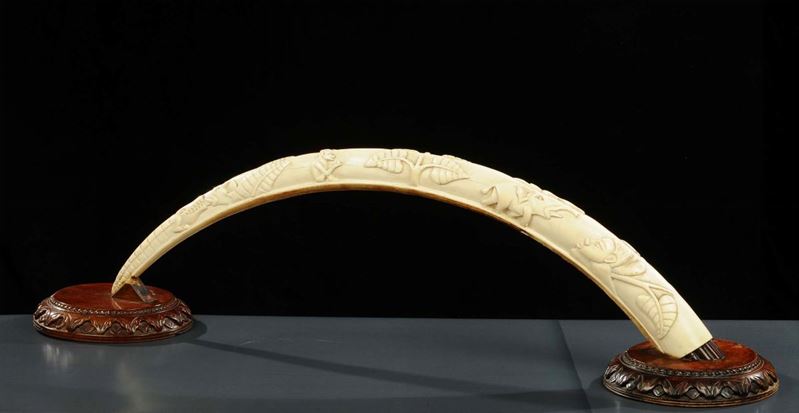 Zanna avorio scolpita  - Auction Antiquariato, Argenti e Dipinti Antichi - Cambi Casa d'Aste