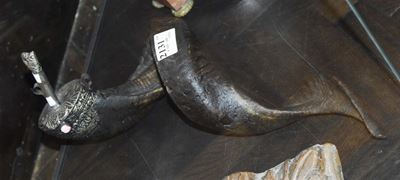 Corno di Muflone