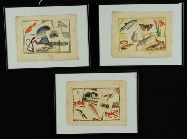 Tre trompe l’oeil a soggetto “animalier”, XIX secolo