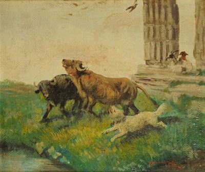Angelo Silvio Galli (1870-1933)buoi Maremmani