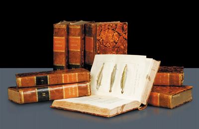 Edizioni Dell'800 - Illustrati - Storia Naturalele Opere di Buffon Nuovamente Ordinate ed Arricch...