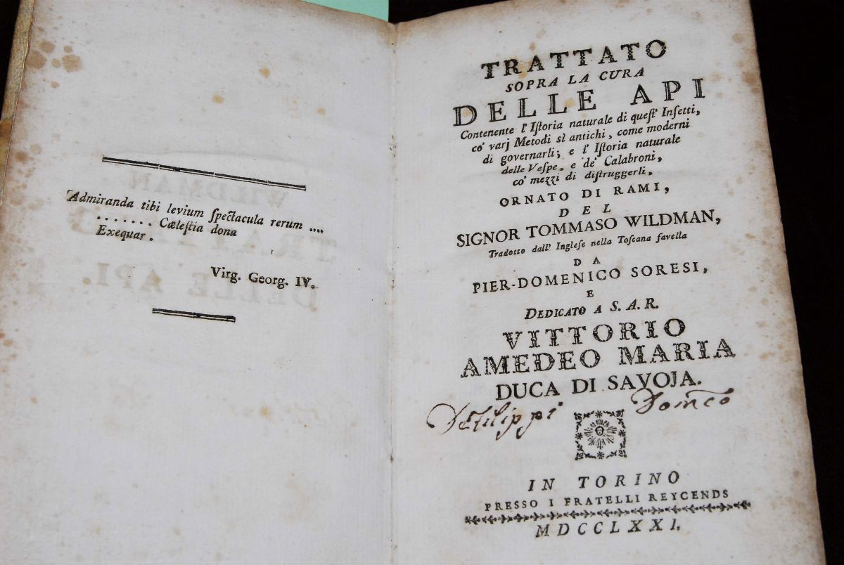 Edizioni del '700 - Apicoltura Widman Thomastrattato Sopra la Cura delle Api Contenete L'istoria ...