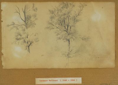 Lorenzo Delleani (1840-1908)studio per Tronco e Studio Raffigurante Due Alberi