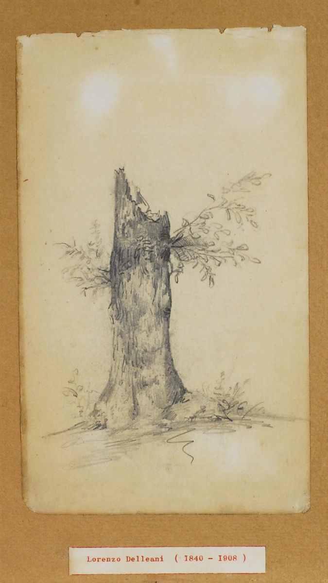Lorenzo Delleani (1840-1908)studio per Tronco e Studio Raffigurante Due Alberi