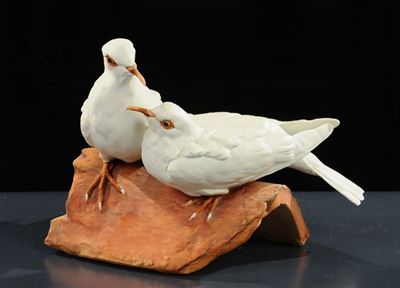 G. Tay - Cacciapuoti