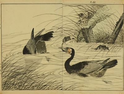 Autore Giapponese Ignotodue Cormorani che Pescano nello Stagno