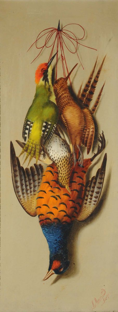Michelangelo Meucci (1840-1909), Attribuito Acacciagioni Appese