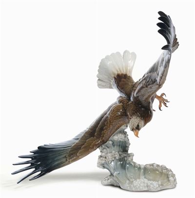 Rosenthalaquila in Volo