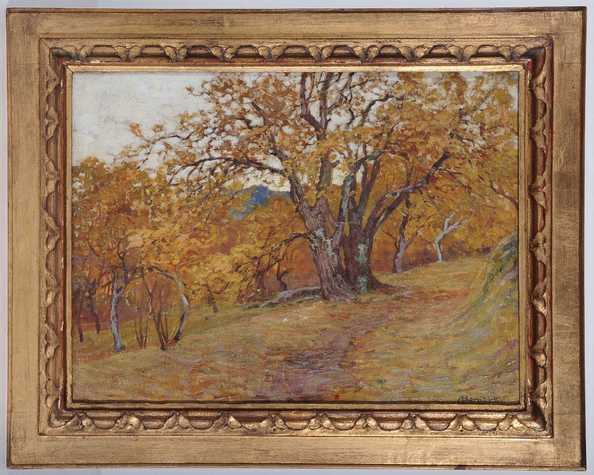 Alberto Beniscelli (1870-1952)bosco