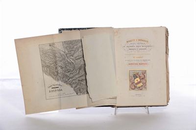 Agostino Olivierimonete e Medaglie degli Spinola di Tassarolo, e Ronco, Roccaforte, Arquata e Ver...