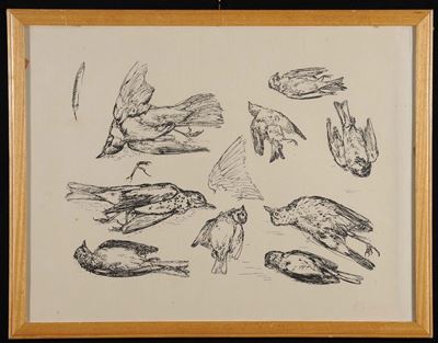 Oscar Saccorotti (1898-1986)uccelli