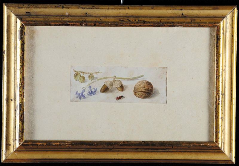 Anonimo del XVIII secolo Natura morta  - Asta Antiquariato e Dipinti Antichi - Cambi Casa d'Aste
