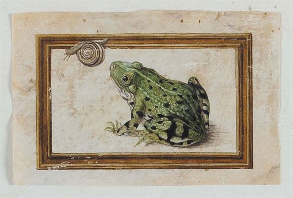 Anonimo del XVIII secolo Rana con chiocciola