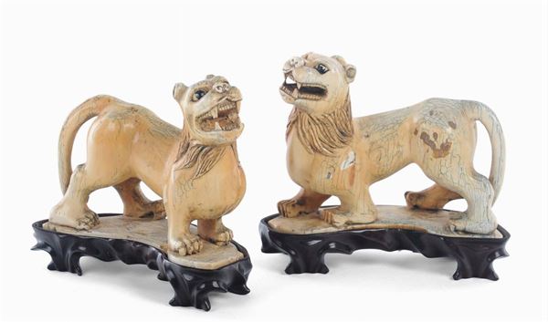 Coppia di leoni in corno di mammut su basette in legno. Cina, Dinastia Qing, inizio XX secolo