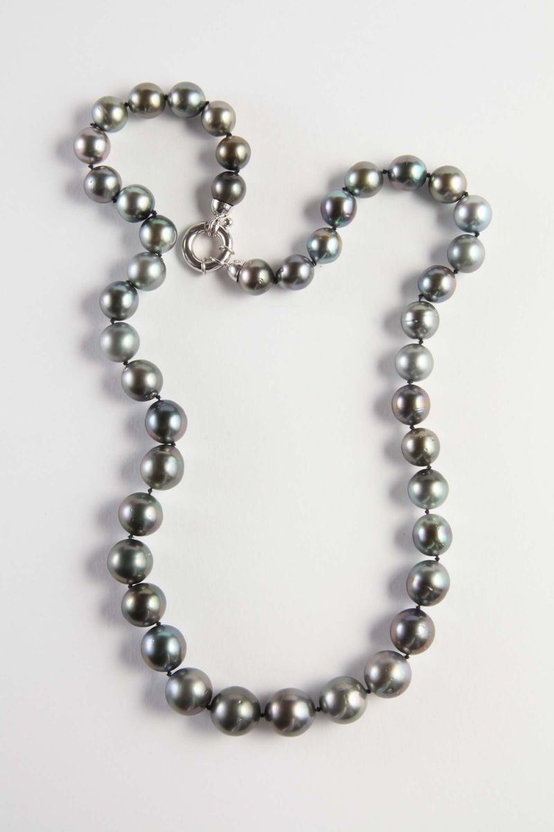 Girocollo perle Tahiti colore peacock  - Asta Argenti e Gioielli Antichi e Contemporanei - Cambi Casa d'Aste