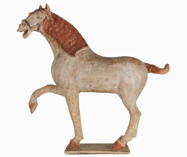 Cavallo in terracotta, Cina, Dinastia Tang, IX secolo