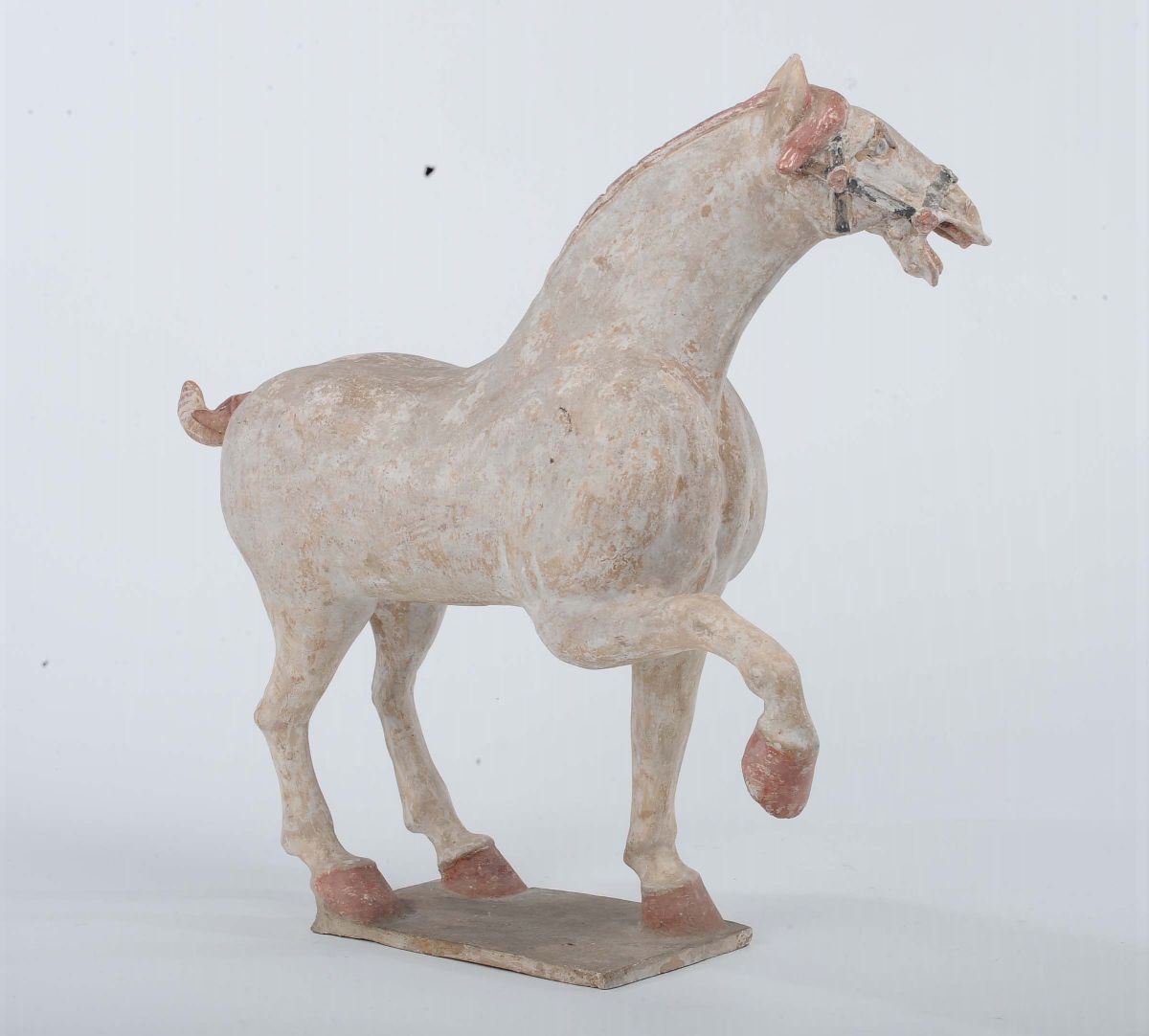 Cavallo in Terracotta, Cina, Dinastia Tang, IX Secolo