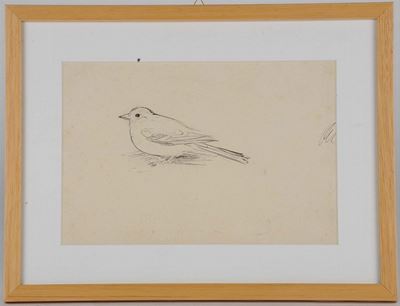 Oscar Saccorotti (1898-1986)uccello