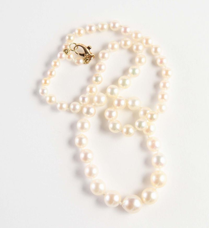 Collana perle scalari  - Asta Argenti e Gioielli Antichi e Contemporanei - Cambi Casa d'Aste