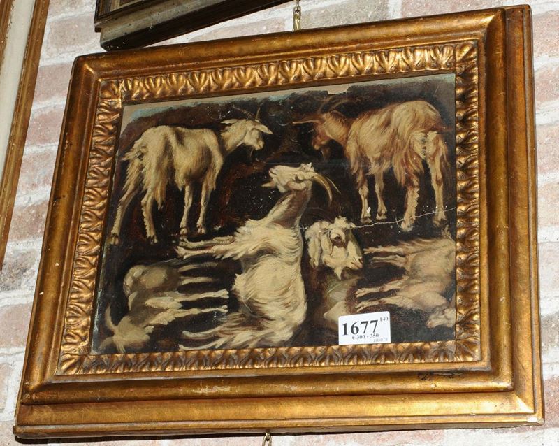 Anonimo del XIX secolo Studio di capre  - Auction Antique and Old Masters - Cambi Casa d'Aste