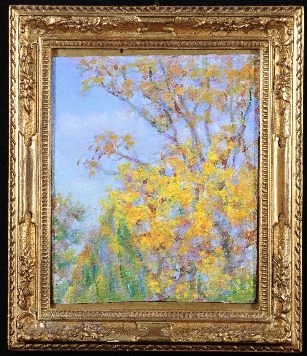 Elica Ballavaso di Fiori Albero Fiorito