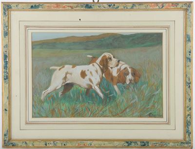 E. Cecconi Attr.cani