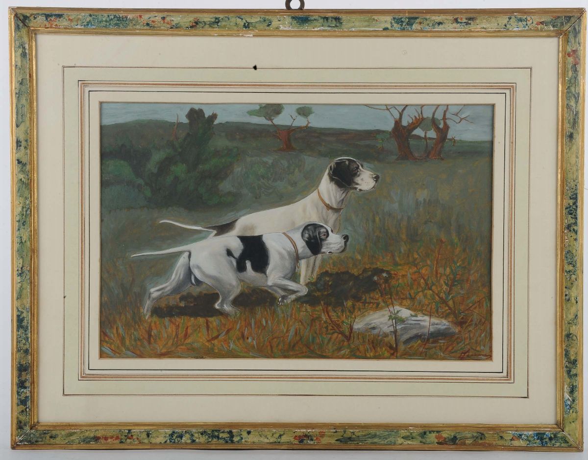 E. Cecconi Attr.cani