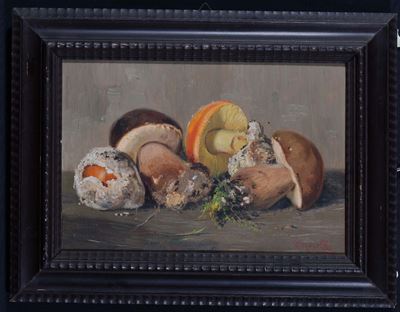 Amedeo Merello (1890-1979)funghi