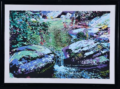 Summer Waterfall