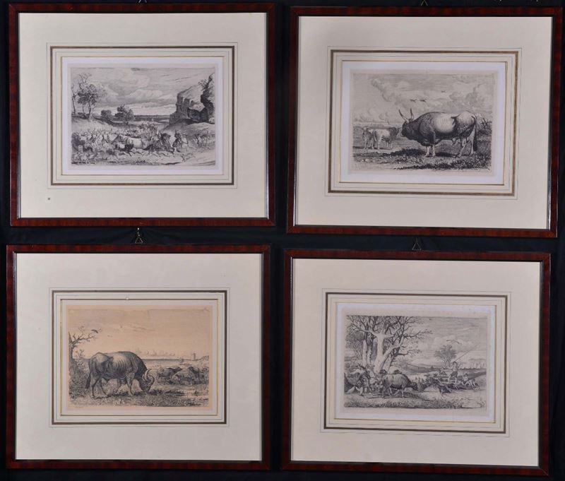 Quattro stampe in cornice raffiguranti animeli e scene di caccia  - Asta Asta a Tempo 05-2014 - Cambi Casa d'Aste