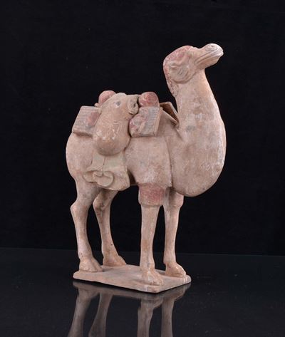 Cammello in Terracotta di Gusto Han, Cina, XX Secolo