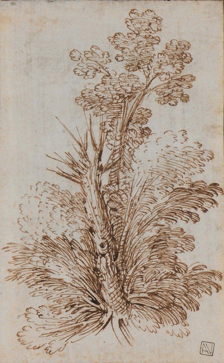Scuola Bolognese del XVII secolo Alberi  - Auction The Collestions of a Fine Bolognese Art Connoisseur - Cambi Casa d'Aste