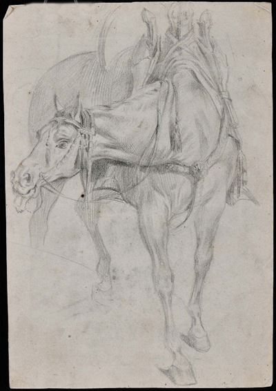 Francesco Vinea (1845-1902), Attribuito Acavallo