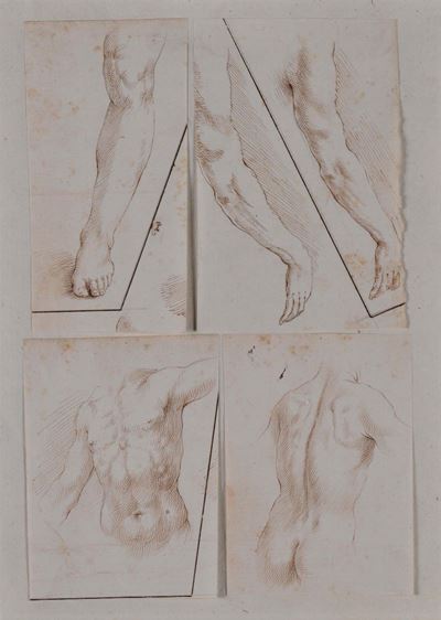 Scuola Italiana della Fine del XVI Secoloquattro Studi Anatomici