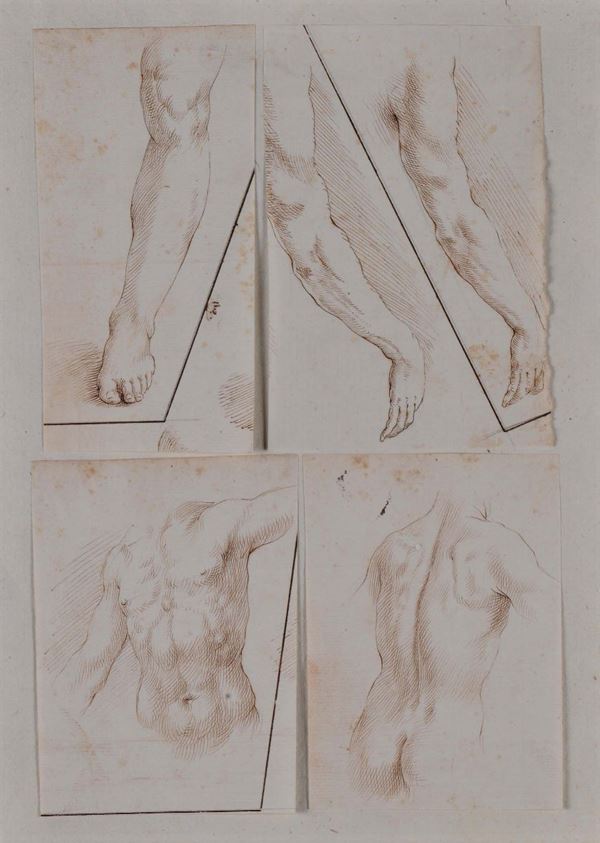 Scuola Italiana della fine del XVI secolo Quattro studi anatomici