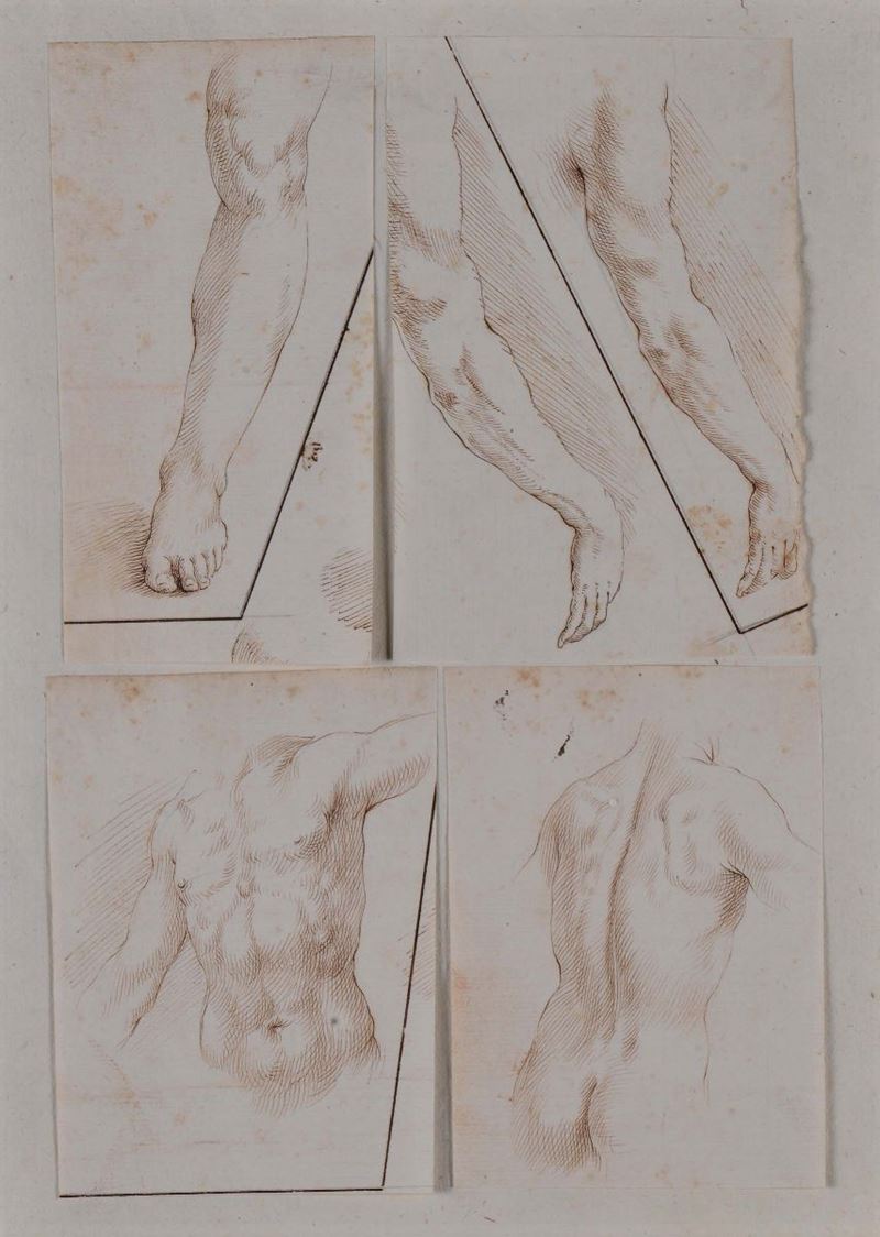 Scuola Italiana della fine del XVI secolo Quattro studi anatomici  - Auction The Collestions of a Fine Bolognese Art Connoisseur - Cambi Casa d'Aste