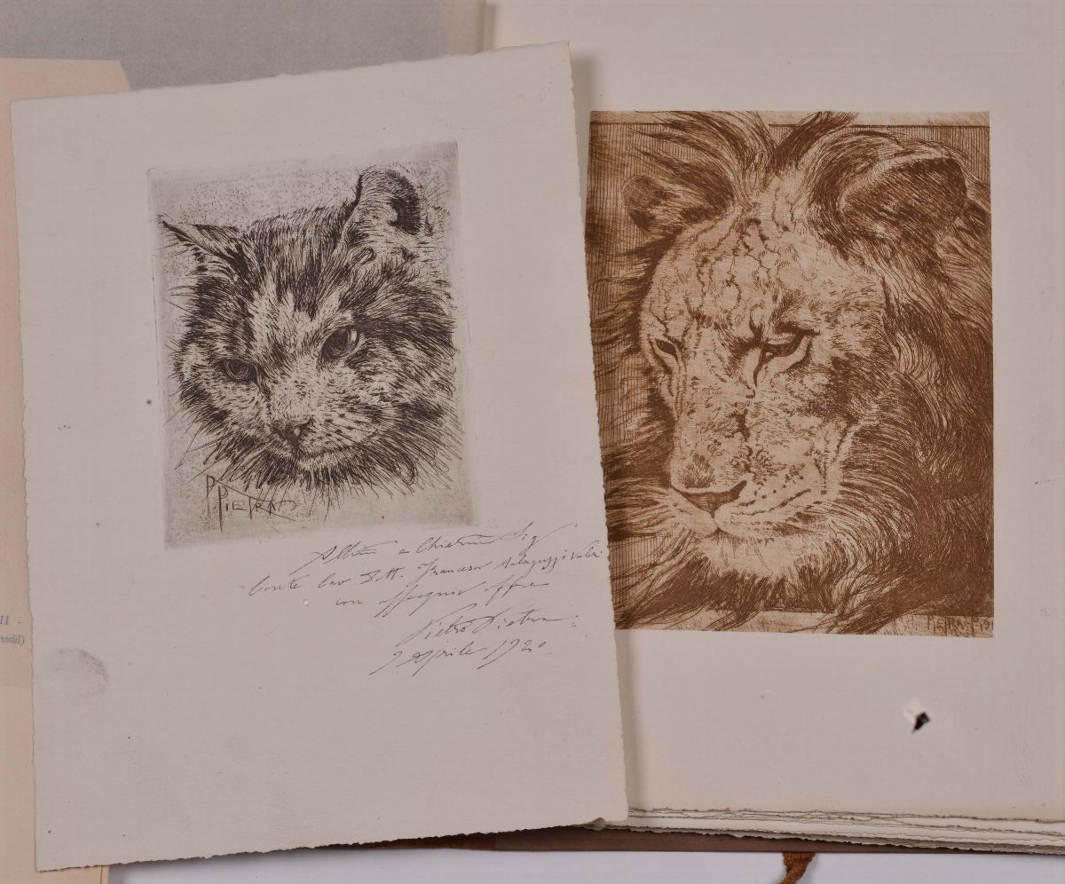 Album Contenente Acqueforti Originali di Pietro Pietra Raffiguranti Studi di Animali