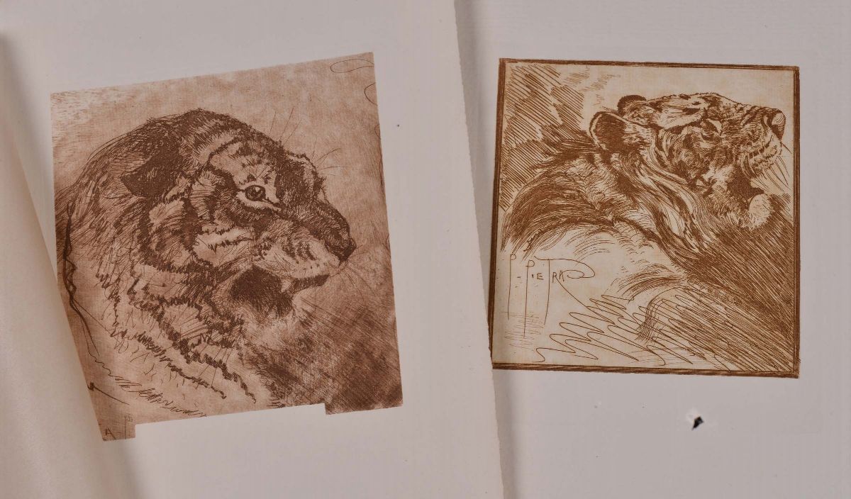 Album Contenente Acqueforti Originali di Pietro Pietra Raffiguranti Studi di Animali