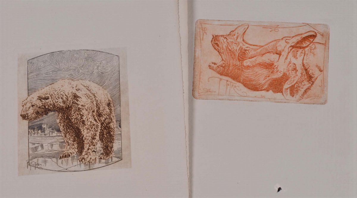 Album Contenente Acqueforti Originali di Pietro Pietra Raffiguranti Studi di Animali