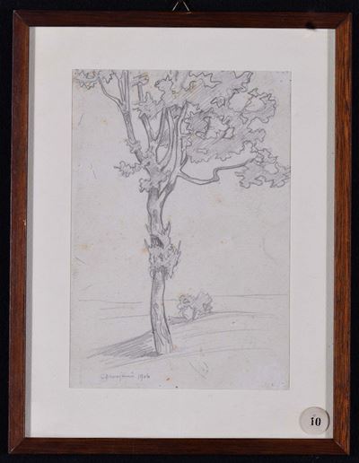 Augusto Majani (1877-1959)albero, 1906