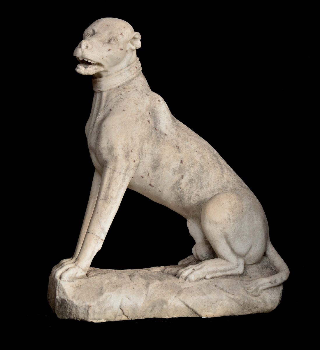 Coppia di Cani Seduti in Marmo Bianco, XVIII Secolo