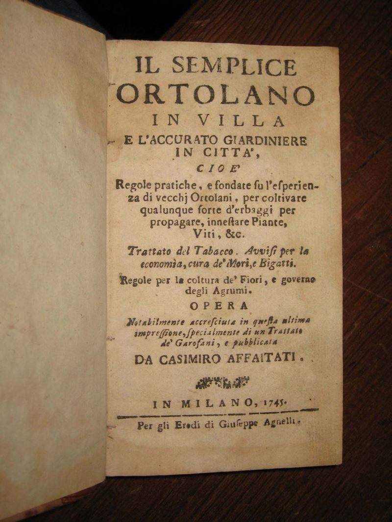 Affaitati, Casimiro Il semplice ortolano  - Auction The Collestions of a Fine Bolognese Art Connoisseur - Cambi Casa d'Aste