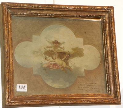 Nicolò Barabinostudio per Soffitto