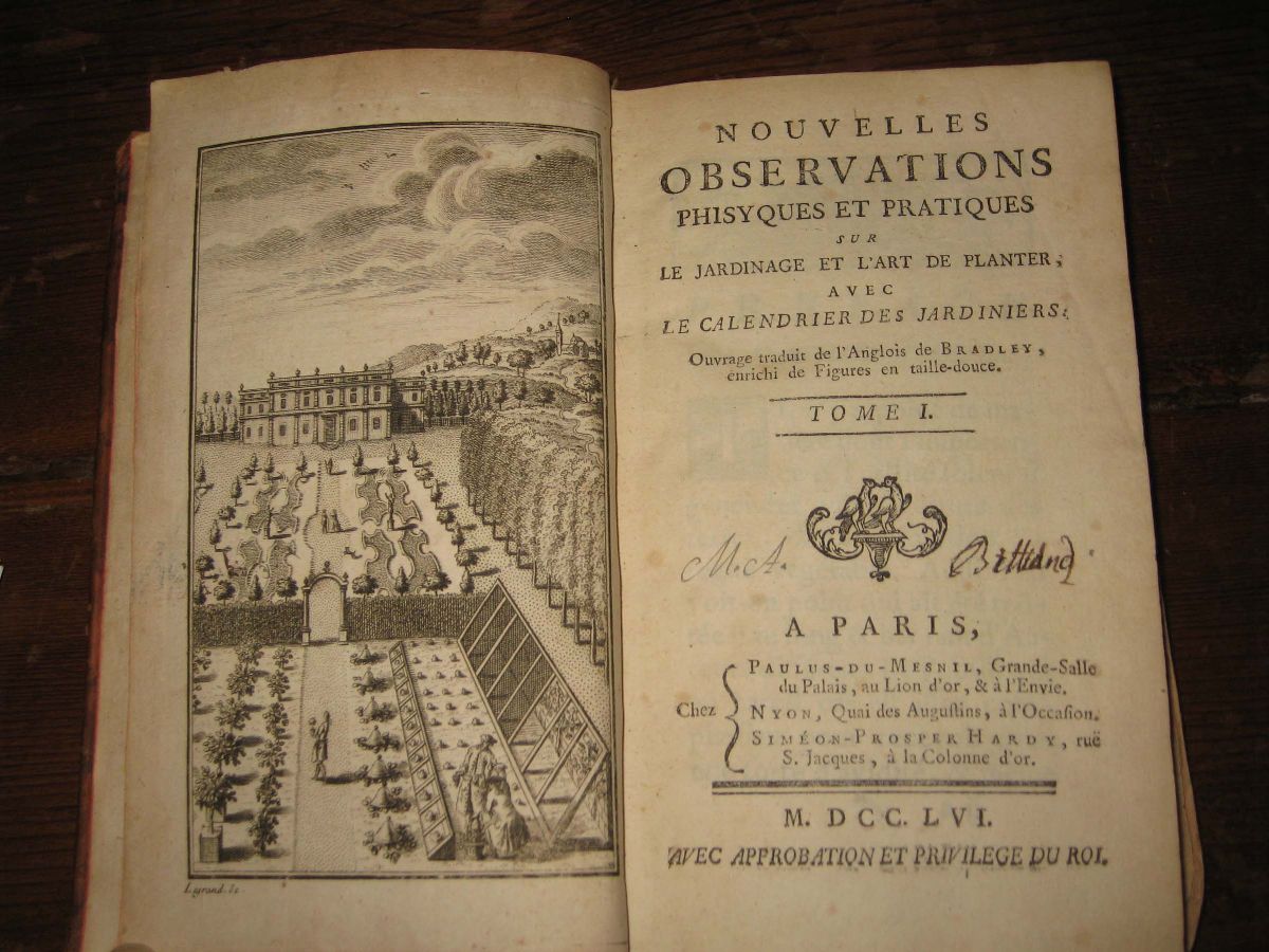 Tavolo a Cestello in Noce Allungabile, Genova XIX Secolo