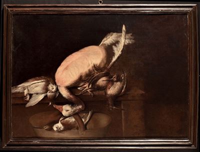 Giacomo Francesco Cipper Detto il Todeschini (1664-1736)natura Morta con Oca e Beccacce