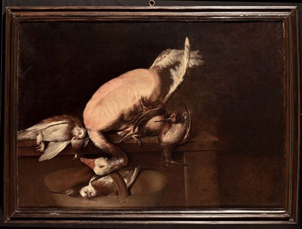Giacomo Francesco Cipper detto il Todeschini (1664-1736) Natura morta con oca e beccacce