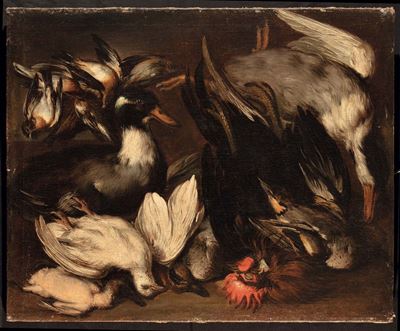 Giovanni Maria Crivelli Detto il Crivellone (?-1730)natura Morta con Gallo e Beccacce