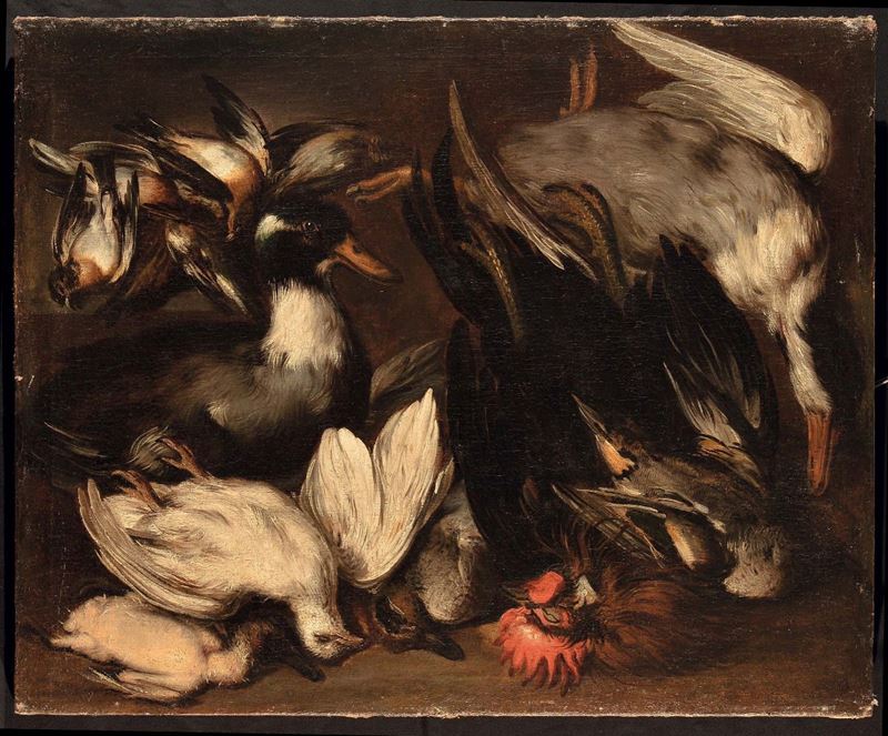 Giovanni Maria Crivelli detto il Crivellone (?-1730) Natura morta con gallo e beccacce  - Asta La Dimora di un Conoscitore Bolognese - Cambi Casa d'Aste