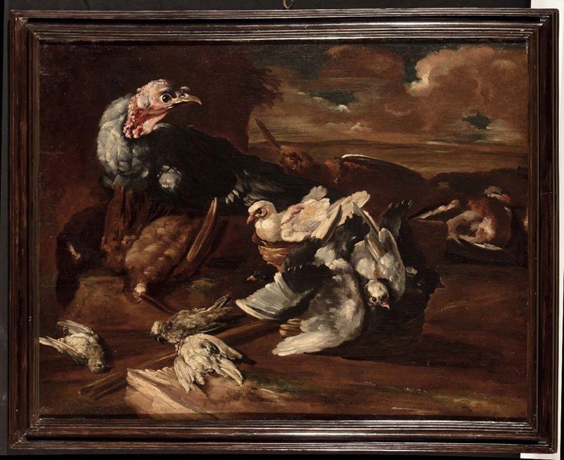 Felice Boselli (1650-1732) Natura morta con tacchino  - Asta La Dimora di un Conoscitore Bolognese - Cambi Casa d'Aste