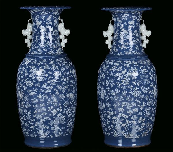 Pair of large porcelain vases, China, Qing Dynasty, 19th century light blue and vegetable and birds decorations, Pho dogs on the neck, h cm 88